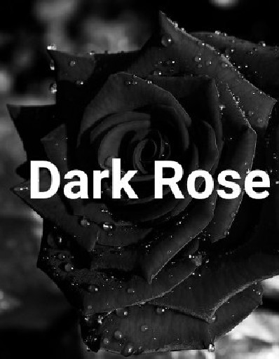 The White Rose PDF Free Download